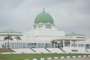 N’Assembly urged to exclude VAT