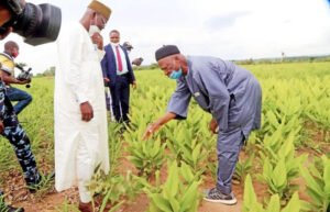 Why You Should Try Integrated Farming