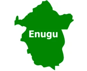 Enugu community debunks allegation of recent mass killings, arson | The Guardian Nigeria News