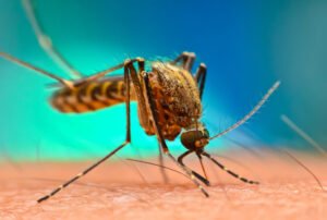 Enugu govt designates 549 health facilities for free malaria treatment
