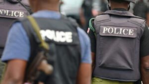 Police arrest couple for assaulting minor in Maiduguri