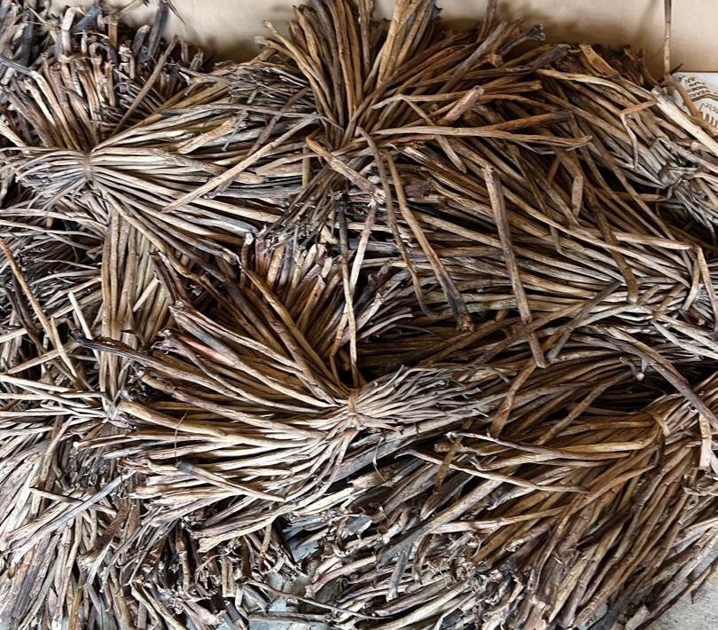 Sundried water hyacinths waiting to be handcrafted