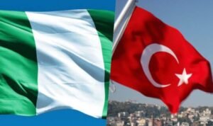 Nigeria, Turkey collaborate to secure return of smuggled baby gorilla Nigeria, Turkey collaborate to secure return of smuggled baby gorilla