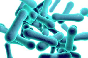 Diphtheria: Lagos leads as Nigeria records 23 new infections