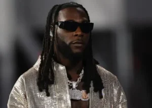 Economic Hardship: Start side hustle, stop depending on streaming income- Burna Boy to Nigerian artistes