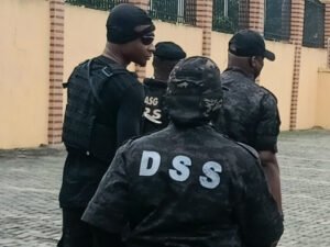DSS arrests 54 bandits, gunrunners in Kaduna | The Guardian Nigeria News