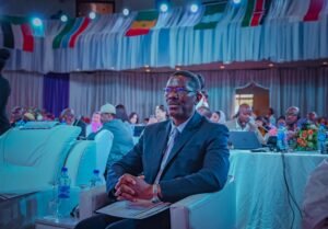 INTERVIEW: Why Nigeria must increase domestic funding for family planning – UNFPA Official