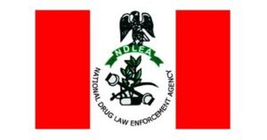 NDLEA arrests nine, seizes 2.635kg drugs during raid in Calabar