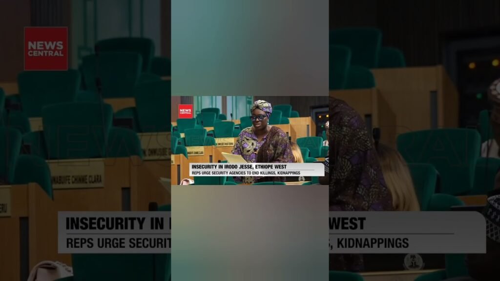 Hon Ibori-suenu says it loud: Delta's security is Falling Apart #newscentraltv #shorts