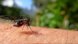 Pharmaceutical firm unveils national competition portal to tackle malaria