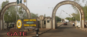 Fate of Nigerian medical students who studied in Sudan hangs in balance