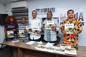 Poor regulation fuels junk food crisis in Abuja, six states – Report
