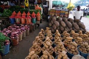 Business owners lament low patronage, urge govt’s action Business owners lament low patronage, urge govt’s action