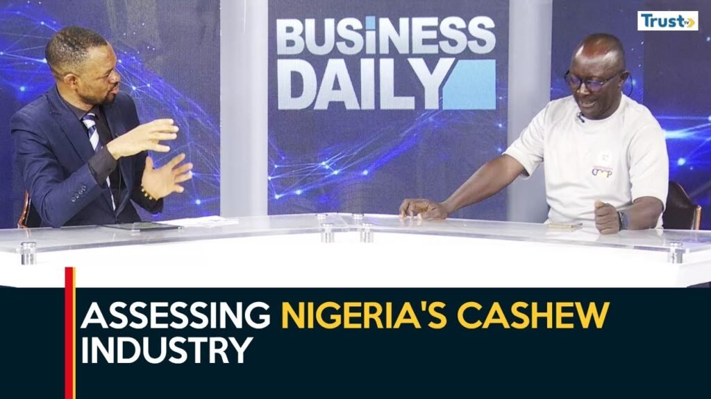 Business Daily: Assessing Nigeria's Cashew Industry Business Daily: Assessing Nigeria's Cashew Industry