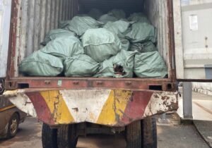 Nigeria Customs intercepts 13.6kg dry donkey skin worth N3.6 billion – Official Agency report Nigeria Customs intercepts 13.6kg dry donkey skin worth N3.6 billion – Official Agency report