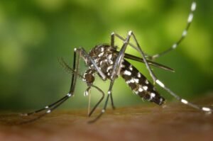 Lagos nears malaria elimination, set to become first in West Africa