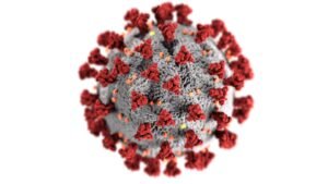 COVID-19: New variant NB.1.8.1 detected in travellers arriving US