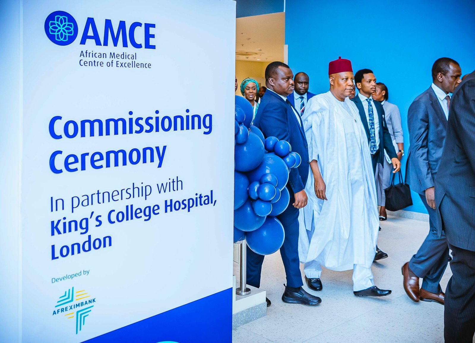 African Medical Centre of Excellence (AMCE)