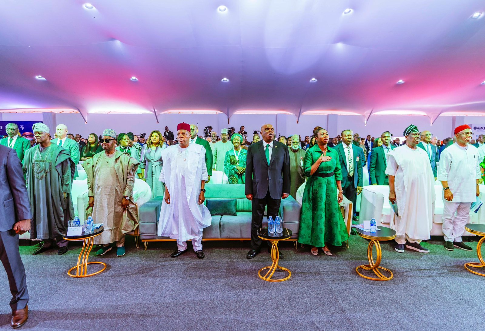 African Medical Centre of Excellence (AMCE)