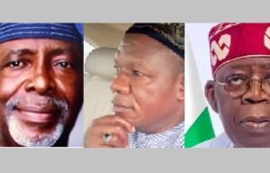 OPC Hails Tinubu For Honouring Fasehun, Demands June 12 Victims’ Compensation – Independent Newspaper Nigeria OPC Hails Tinubu For Honouring Fasehun, Demands June 12 Victims’ Compensation – Independent Newspaper Nigeria