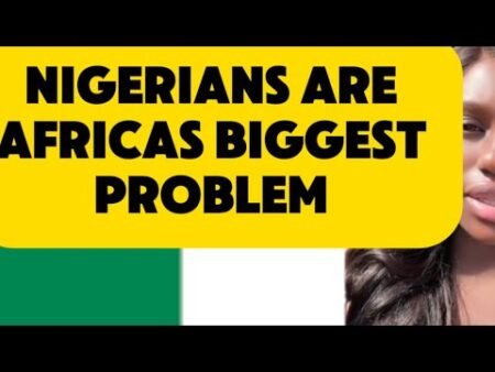 NIGERIANS FIX YOUR COUNTRY/AFRICAS BIGGEST PROBLEM #nigeria #nigerianews #southafrica #immigrants