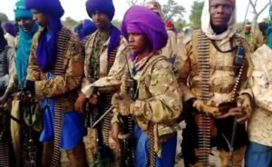 ‘Bandit’ gang kills nine Nigerian farmers ‘Bandit’ gang kills nine Nigerian farmers