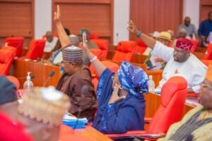 Senate probes Ponzi schemes in Nigeria, loss of N1.3trn by Nigerians to CBEX Senate probes Ponzi schemes in Nigeria, loss of N1.3trn by Nigerians to CBEX
