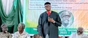 Mimiko, Others Attribute Nigeria’s Woes To Leadership Problem, Harp On Restructuring – Independent Newspaper Nigeria