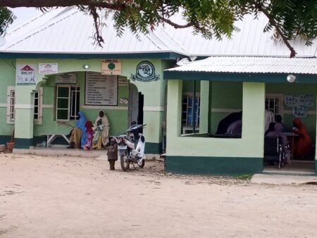SPECIAL REPORT: Why preventable diphtheria is killing children in Kaduna communities SPECIAL REPORT: Why preventable diphtheria is killing children in Kaduna communities