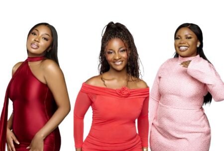 Meet BBNaija Season 10 female housemates (PHOTOS) Meet BBNaija Season 10 female housemates (PHOTOS)