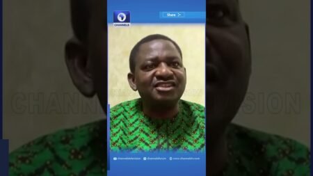 Buhari Could Have Been Long Dead If He Used Nigerian Hospitals – Femi Adesina