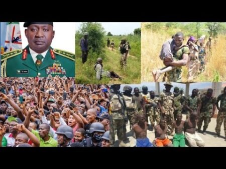 Breaking News: Nigerians and Nigerian Soldiers Breaking News: Nigerians and Nigerian Soldiers