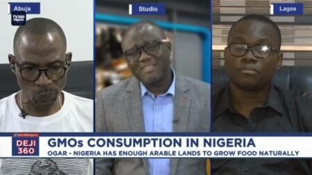 Debate over safety of GMOs consumption in Nigeria/DEJI 360 EP 553 PT 3 Debate over safety of GMOs consumption in Nigeria/DEJI 360 EP 553 PT 3