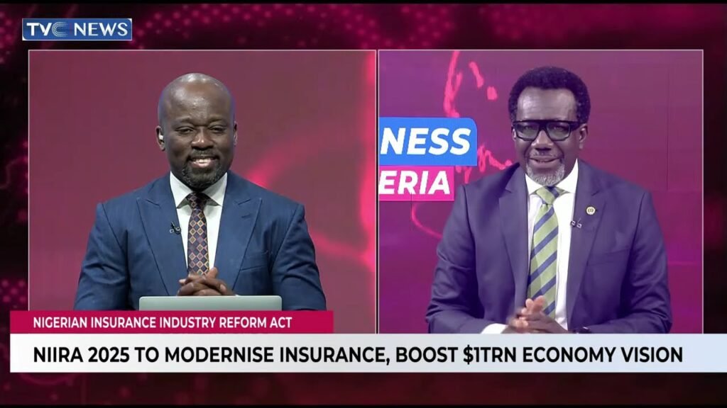 CEO National Insurance Commission Analyses Key Components Of Newly Signed NIIRA