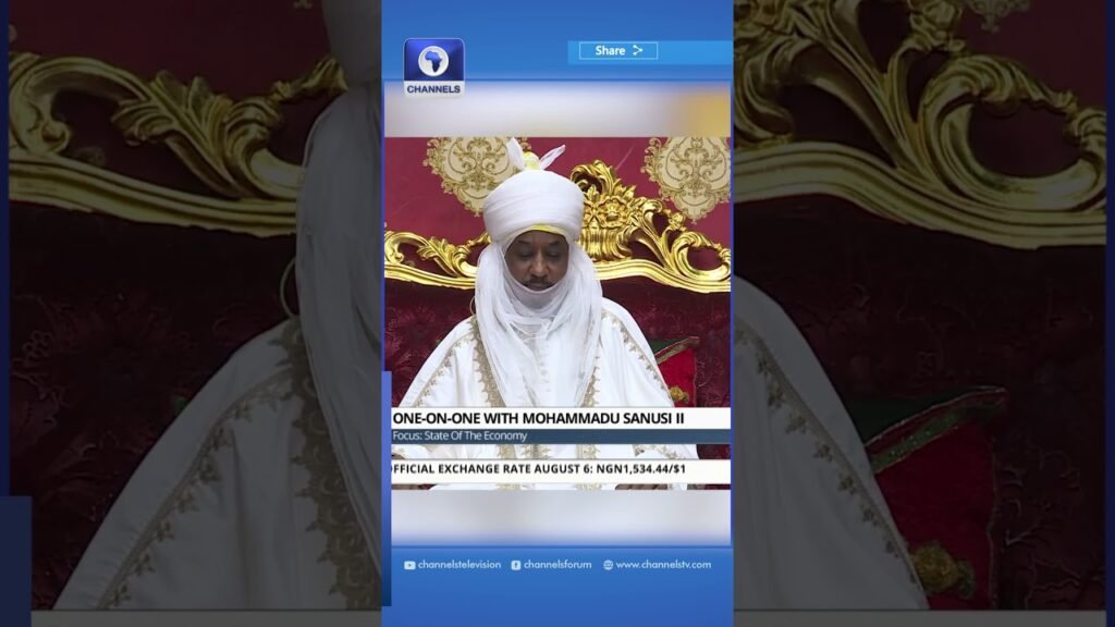 Nigeria Spent Decades Pursuing Policies Destined To Bankrupt Its Economy — Emir Sanusi | Shorts Nigeria Spent Decades Pursuing Policies Destined To Bankrupt Its Economy — Emir Sanusi | Shorts