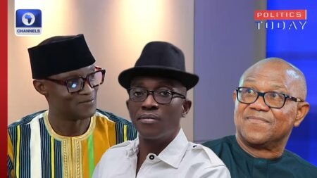 LP Deputy Youth Leader Shares Reasons Behind Protest, Labels Obi A Political Prostitute