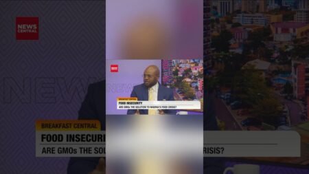 GMOs won’t solve Nigeria’s food crisis – Segun Adebayo