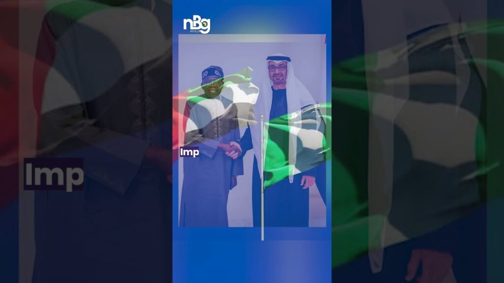 UAE introduces strict new visa rules for Nigerians UAE introduces strict new visa rules for Nigerians