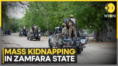 Nigeria: Over 50 People Kidnapped in Mass Abduction in Northwest Nigeria | WION Pulse