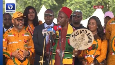 Any Politician Offering To Serve For One-Term Needs Psychiatric Examination – Soludo