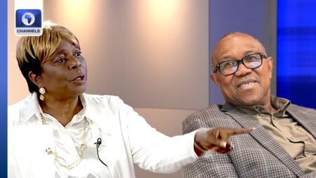 Obi’s 2023 Rhetoric Won’t Work In 2027 – Biodun Olujimi Obi’s 2023 Rhetoric Won’t Work In 2027 – Biodun Olujimi