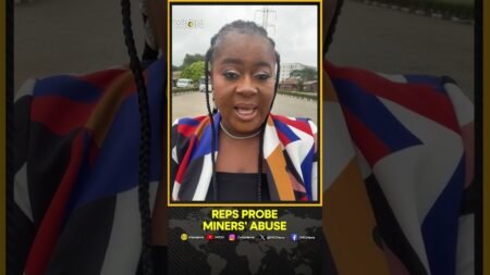 Nigeria: Reps Probe Nigerian Miners’ Abuse Claim in Car | WION Shorts