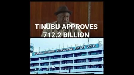 TINUBU APPROVES N712.2BILLION FOR AIRPORT RENOVATION #nigeria #criticsnews #tinubu #abuja #news