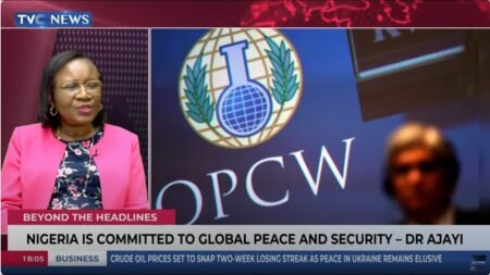 Nigeria Nominates Amb. Eniola Ajayi for OPCW DG Role