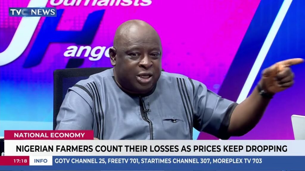 Nigerian Farmers Count Their Losses As Prices Keep Dropping