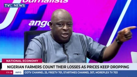 Nigerian Farmers Count Their Losses As Prices Keep Dropping