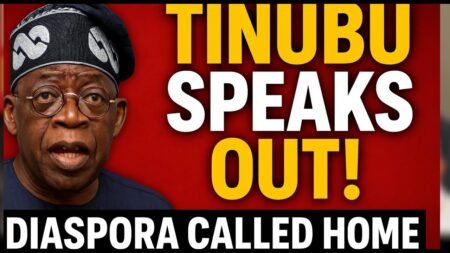 Tinubu to Nigerians Abroad: Your Contributions Are Needed at Home! | Latest News