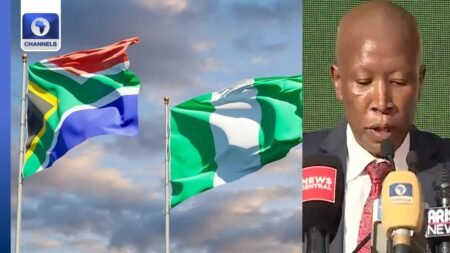 Nigeria, South Africa Hold Key To Africa’s Industrialisation, Growth – Malema
