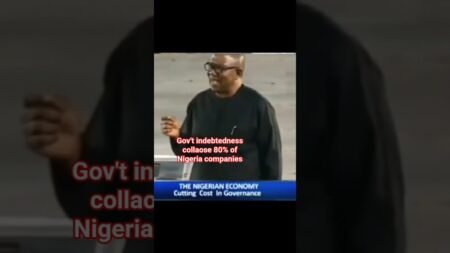 80% of Nigeria companies collapse because of government indebtedness #peterobi #nigeria #shorts