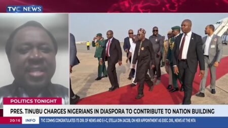 President Tinubu Charges Nigerians In Diaspora To Contribute To Nation Building
